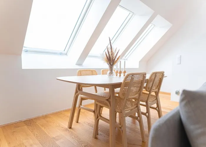 Airconditioned Penthouse Viyana