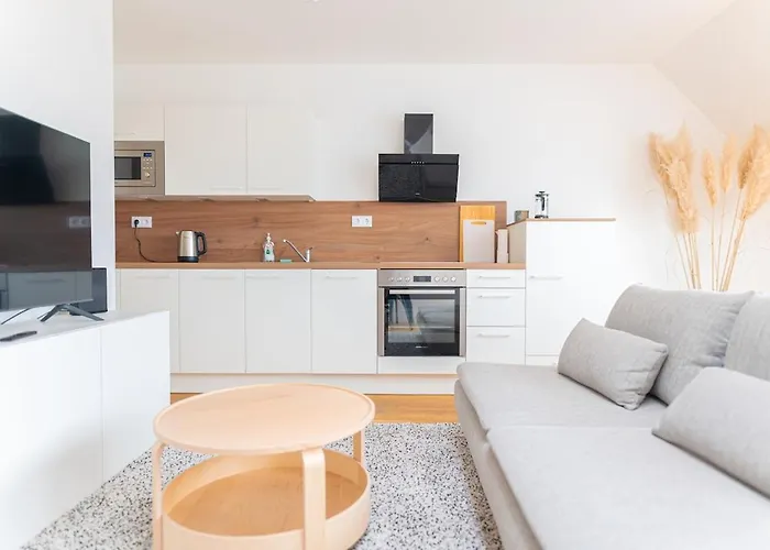 Airconditioned Penthouse Vienna