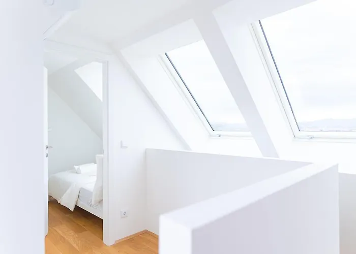 Airconditioned Penthouse Viyana