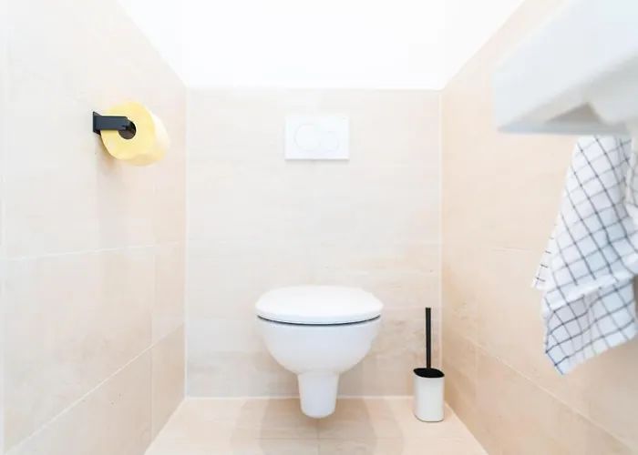 Airconditioned Penthouse Viyana