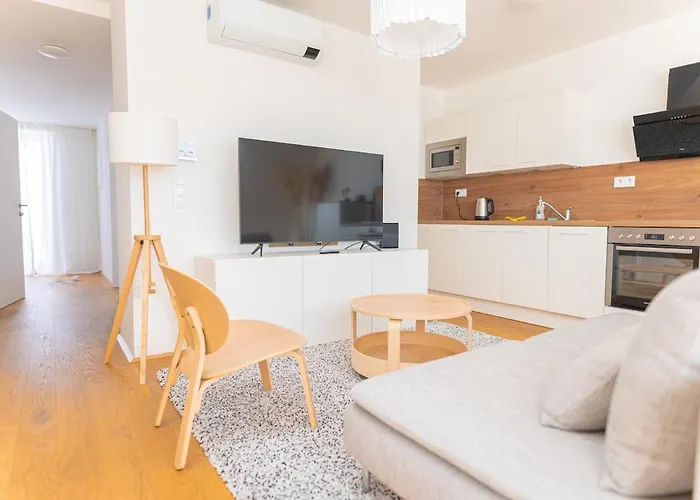 Airconditioned Penthouse Daire Viyana