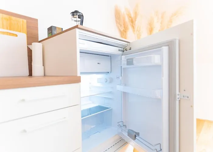 Airconditioned Penthouse Daire Viyana